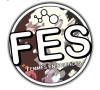 Logo FES