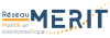 Logo MERIT